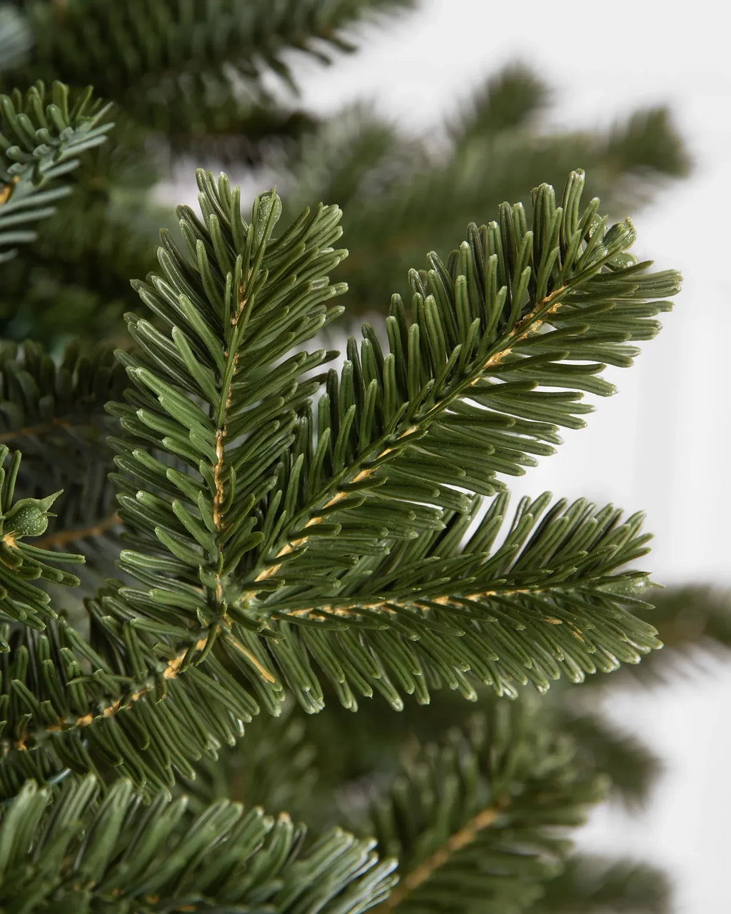Árvore Natal Bosque Noel: LEDs Integrados, Galhos Luxuosos, Montagem Fácil