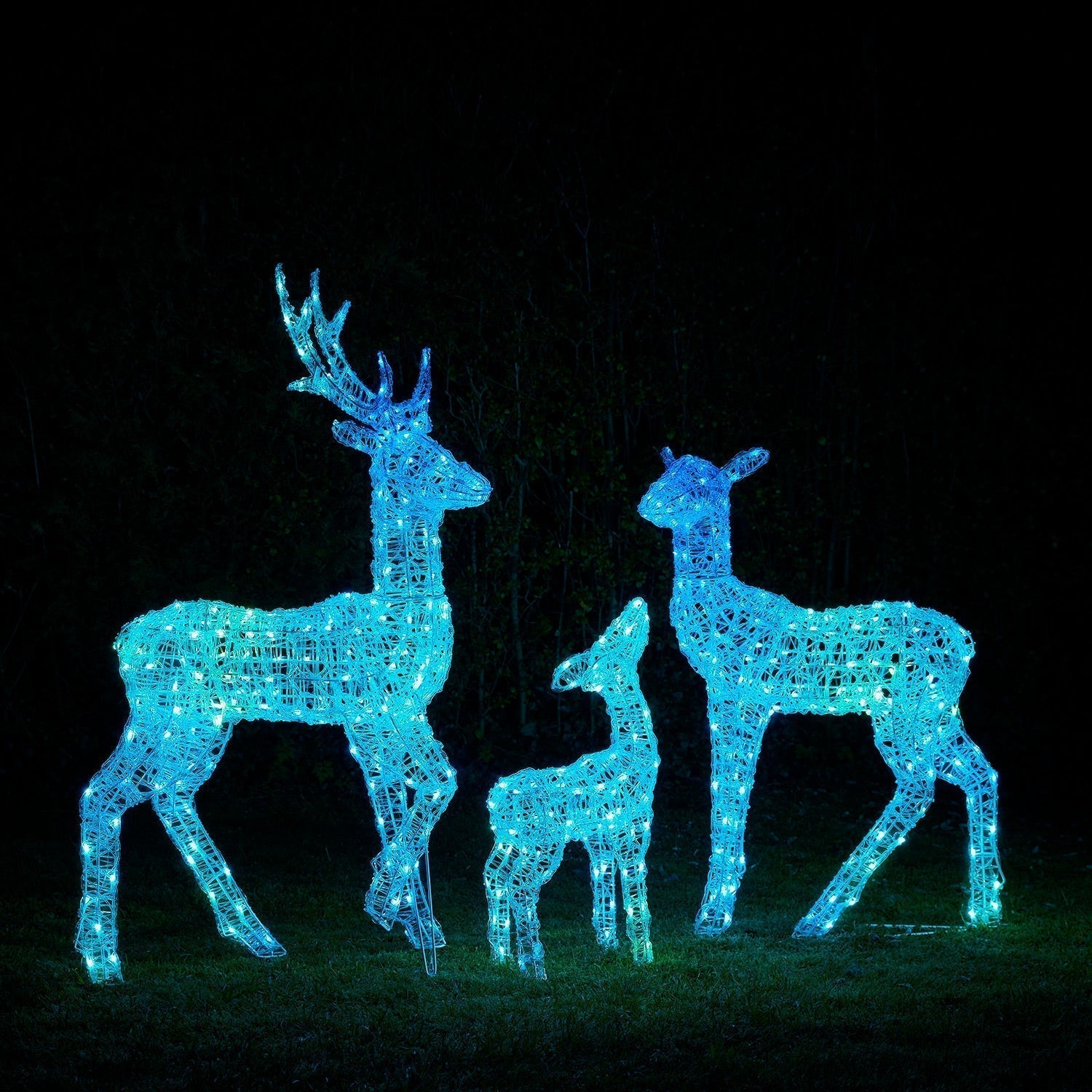 Renas Natalinas LED RGB Wi-Fi: Kit Decoração Mágica Exterior Interior